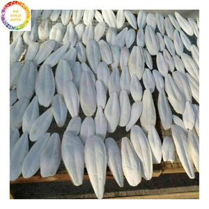 Os de Seiche Séché de Qualité Supérieure VF pour Oiseaux – Friandise pour Perroquets, Canaris, Pinsons, Bouvreuils et Fournitures d'Élevage en Volière, Idéal pour les Magasins d'Animaux - Product Image 2