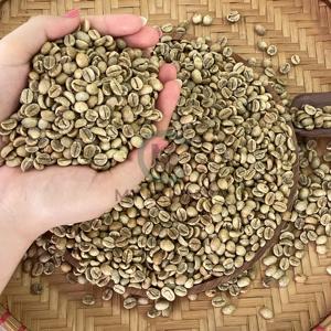 Produits en gros à faible MOQ, grains de café biologiques, café moulu Arabica, grains de café entièrement lavés, emballage en sac PP de 60 kg, Vietnam - Product Image 3