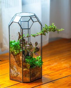 Terrarium décoratif personnalisé en métal et verre, jardinière moderne en verre pour plantes d'intérieur, succulentes, plantes aériennes et terrarium DIY - Product Image 1