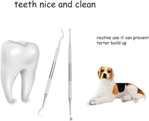 Dog <b>Teeth</b> <b>Cleaning</b> <b>Tools</b> Tarter Remover Canine Dental Scraper Scaler <b>Tools</b> Pet <b>Tooth</b> Cleaner Stainless Steel with Double Head - Product Image 3