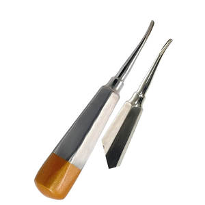 Elevador de Raíces Dental Profesional de Acero Inoxidable, Instrumento de Extracción Dental para Uso en Clínicas Dentales y Hospitales - Product Image 1