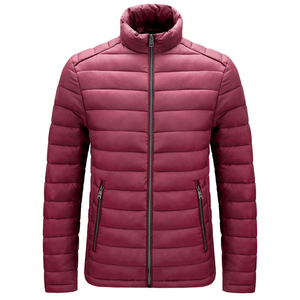 Breathable High Quality OEM Service Custom Made Hooded Men Winter Puffer <b>Jacket</b> Thin Stand Collar Customized Colors Front - Product Image 3