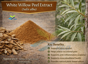 Suministro Directo de Fábrica HGO de Extracto Puro y Natural de Corteza de Sauce Blanco, Grado Alimenticio, Especificación 10:1 - Product Image 2