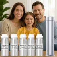 Diffuseur d'arômes d'huiles essentielles en aluminium Type-C avec contrôle à distance par application intelligente 2C, minuterie française, pulvérisation, idéal pour hôtels – Vente directe usine