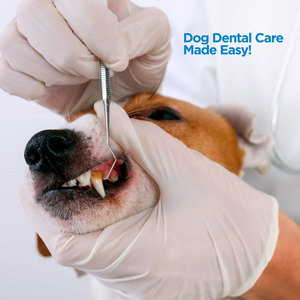 Kit d'hygiène dentaire professionnel 4 pièces en acier inoxydable français pour le nettoyage des dents, grattoir anti-plaque et anti-tartre - Product Image 5