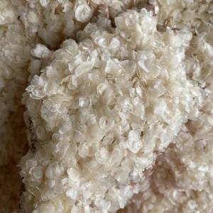 Écailles de poisson VDELTA du Vietnam – Écailles de Tilapia décalcifiées et blanchies à l'oxygène – Meilleur prix / John - Product Image 4