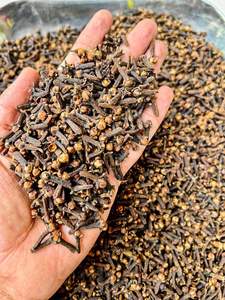 Clavos de olor enteros de primera calidad, secados al sol, aromáticos, con sabor fuerte, larga duración (12-18 meses), listos para exportación, sin OMG ni aditivos. - Product Image 2