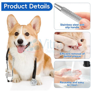 Kits de soins dentaires, kits de détartrage dentaire, outils de précision manuels en acier inoxydable certifiés CE, réutilisables, de haute qualité pour une utilisation professionnelle - Product Image 3