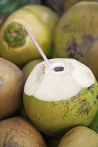Noix de coco vertes jeunes de qualité supérieure, biologiques, fraîches, de qualité export, origine Ben Tre Vietnam, goût sucré, eau de coco en coque, vente en gros - Product Image 4