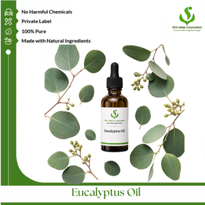 Eucalyptus Oil Bulk Supply for Professional Cosmetic Brands Fragrance Companies Personal Care Manufacturers and Commercial - Product Image 1