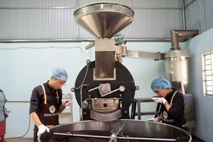 HN100RH1 - Granos de Café Vietnamita Premium 100% Robusta de Tueste Medio |   Grano Entero |   Precio al por mayor - Product Image 2