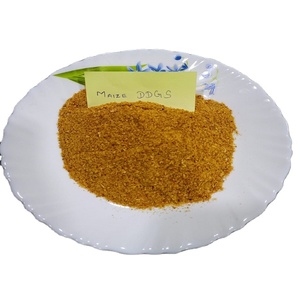 Haute qualité de maïs DDGS volaille alimentation riche en protéines aliments pour animaux au prix le plus bas pour l'exportation - Product Image 1