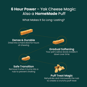 Himalayan Yak Cheese Dog Chews Luxury Eco Friendly Treats Handcrafted in India by Adins International Private Limited OEM Bulk - Product Image 6