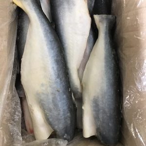 Basa Catfish Entera IQF Envasada al Vacío en Caja de 10 kg - Mejor Precio Mayorista - Product Image 5