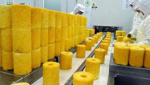 100% ANANANAS EN CONSERVE FRAIS ET NATUREL-USINE DU VIETNAM EXPORTATION EN VRAC - Product Image 4