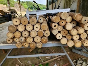 Estacas de Bambú Natural Premium para Jardín – Varillas Duraderas para Soporte de Plantas Trepadoras y Cercas Ecológicas de Privacidad - Product Image 2