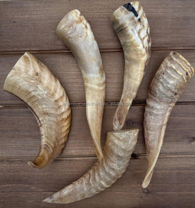 เขาแกะธรรมชาติคุณภาพพรีเมียมสำหรับงานฝีมือ - Product Image 2