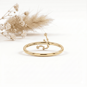 Bague Horoscope Verseau Premium HPHT CVD, Bijou de Luxe avec Gemme, Janvier-Février, Manifestez le Succès, Meilleure Vente 2026 - Product Image 1