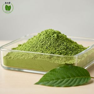 Poudre de feuilles d'herbes thaïlandaises MIT, pureté 1,5%, 120 Mesh, séchée à l'air chaud, emballée sous vide, incontournable, préférée des clients AuE, pour la santé - Product Image 4