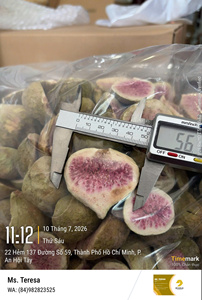 Mitades de Higos Liofilizadas Premium – Higos Naturales Liofilizados con Sabor Original a Fruta para Compradores Mayoristas de la UE - Product Image 5