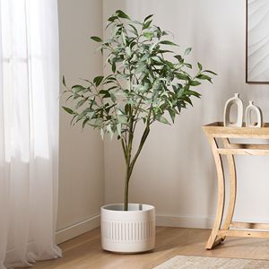 Bonsai di Eucalipto Artificiale da 63 Pollici, Categoria Prodotto: Alberi Artificiali - Product Image 1