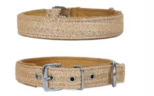 Collar para Perro Resistente a Impactos con Brillo, Costuras Reforzadas, Collar para Mascotas con Herrajes Premium de Divine International - Product Image 6