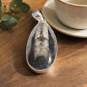 Pendentif en pierre précieuse naturelle Orthocères, argent sterling 925, plaqué or rose et or jaune, cabochon en forme de larme, bijoux faits à la main pour hommes - Product Image 3