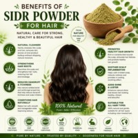Poudre de feuilles de Sidr naturelle OEM, nettoyant et revitalisant capillaire à base de plantes, 100% pure poudre de Sidr pour renforcer les racines et contrôler les pellicules