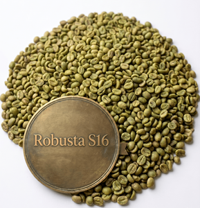[DHPONE] Granos de Café Robusta Verde de Vietnam, Pulido Húmedo S16, Origen Gia Lai, Nueva Cosecha 25-26, Empaque de 60 kg en Bolsa de Yute - Product Image 1