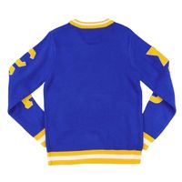 Pull à col en V pour femme, motif blason bleu de la sororité Sigma Gamma Rho, tricot à lettres grecques, style universitaire décontracté, personnalisé