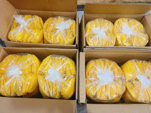 Mangues déshydratées de qualité industrielle |   Tranches uniformes – Longue durée de conservation pour la transformation alimentaire - Product Image 3