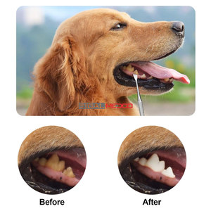 Dog Dental <b>Tools</b> Pet <b>Tooth</b> Scaler 4pcs Manual Stainless Steel Double Headed Ergonomic <b>Teeth</b> <b>Cleaning</b> <b>Tool</b> Tartar Plaque Remover - Product Image 4