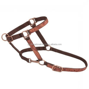 Nouveau licou en cuir sculpté à la main avec accessoires réglables en laiton - Product Image 2