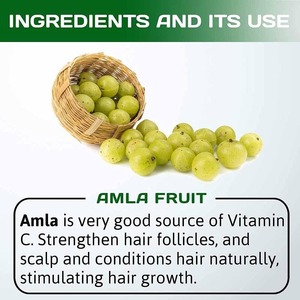 Huile capillaire à base de plantes avec extrait d'Amla |   Huile anti-chute de cheveux approuvée par la FDA, fournisseur d'exportation - Product Image 6
