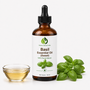 Aceite Esencial de Albahaca Natural de la India Natures Natural, Dulce, 100 ml, Puro, Natural, Destilado al Vapor, Aceite de Aromaterapia - Product Image 2
