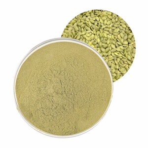 Polvo de Semillas de Calabaza Premium, Superalimento Natural Puro de Semillas de Calabaza, Rico en Proteínas, Fibra y Nutrientes para el Apoyo Diario del Bienestar - Product Image 3