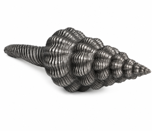 Auténtica concha marina ceremonial oscura Laxmi Shankha para rituales de culto en altares sagrados y colocación armoniosa de Vastu. - Product Image 1
