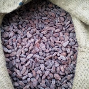 Compre Granos de Cacao Secos en Bolsas de 50 kg, Granos de Cacao Orgánicos Tostados, Granos de Cacao Crudos Secados al Sol, Disponibles Ahora en Stock - Product Image 3