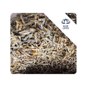 Anchoas secas de primera calidad para sopa, caldo, condimento, ingrediente de mariscos utilizado para la base de sopa de mariscos, Vietnam - Product Image 1