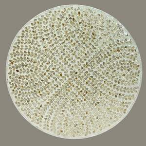 โต๊ะกาแฟลายดอกไม้เปลือกหอยมุก งานแฮนด์เมด โต๊ะกลางสุดหรู ตกแต่งห้องนั่งเล่น - Product Image 1