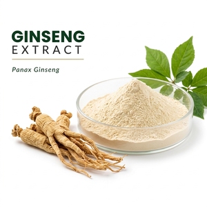 Extracto de Ginseng Panax en Polvo, Extracto de Planta Herbal para Suplemento Dietético y Formulación de Bienestar - Product Image 1