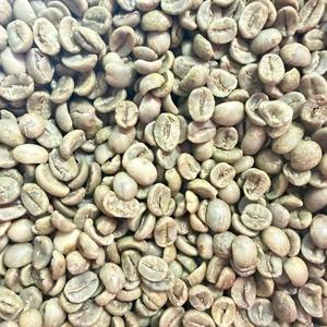Fournisseur Direct Vietnam Grains de Café Vert Robusta Grade S18 Non Torréfiés Traitement Naturel au Miel Faible Taux de Défauts Humidité Max 12,5% - Product Image 2