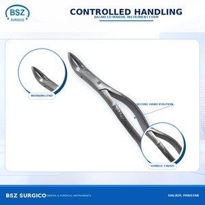 คีมถอนฟัน BSZ SURGICO หมายเลข 69 รุ่น BSZS-210 ทำจากสแตนเลสสตีล ด้ามจับแบบมีลาย  ชนิดเครื่องมือผ่าตัดคลาสที่ 2 - Product Image 4