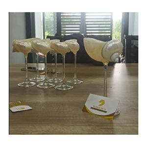 Tasse en coquillage naturel de haute qualité, faite à la main, décoration de maison de style côtier, cadeau inspiré de l'océan, fournisseur en gros du Vietnam, prête à être expédiée - Product Image 4