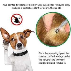 Pinzas de Alta Calidad para Quitar Garrapatas de Mascotas, 14 cm, Acero Inoxidable, 2 en 1, Pinzas y Punta de Extracción, Herramientas OEM para Eliminar Garrapatas de Mascotas - Product Image 5