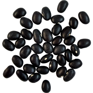 Haricots noirs biologiques d'Autriche, prix usine, vente chaude - Prix d'exportation compétitif, livraison rapide et prix de gros abordable - Product Image 6