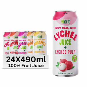 490ml de boissons aux jus de fruits et de légumes sans sucre Saveurs variés avec pulpe Marque privée OEM/ODM Échantillon gratuit Usine du Vietnam - Product Image 1