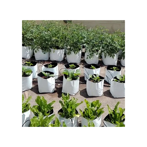 Sacs de culture en tissu non tissé respirants pour légumes, fleurs et arbres, sacs à racines réutilisables - Product Image 3