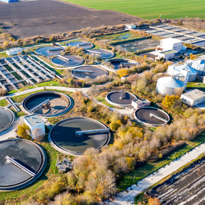 Bactéries pour la dégradation des hydrocarbures dans les eaux usées - Product Image 6