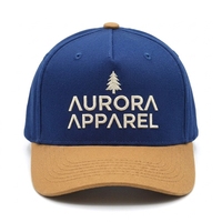 Gorras y Sombreros al por Mayor de Alta Calidad, Gorra Deportiva Ajustable con Letra Bordada en 3D, Gorra de Béisbol de 5 Paneles con Logotipo Personalizado para Niños y Adultos